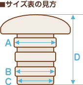 サイズ表の見方